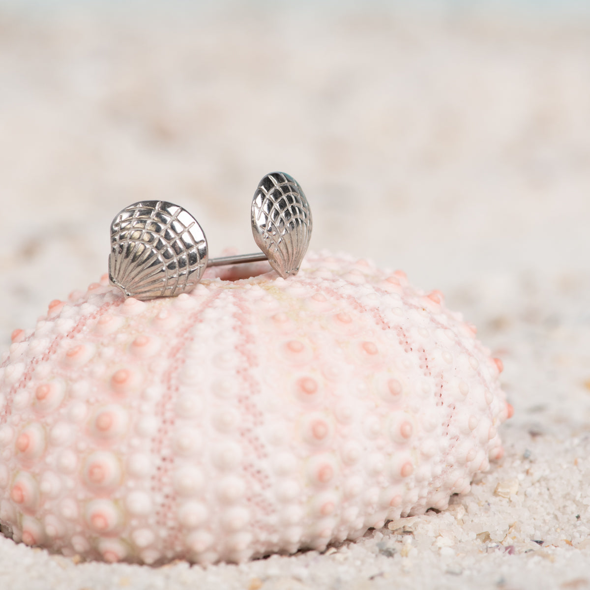 iXXXi Ear studs Shell